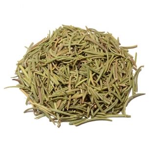 Rosmarinus officinalis
